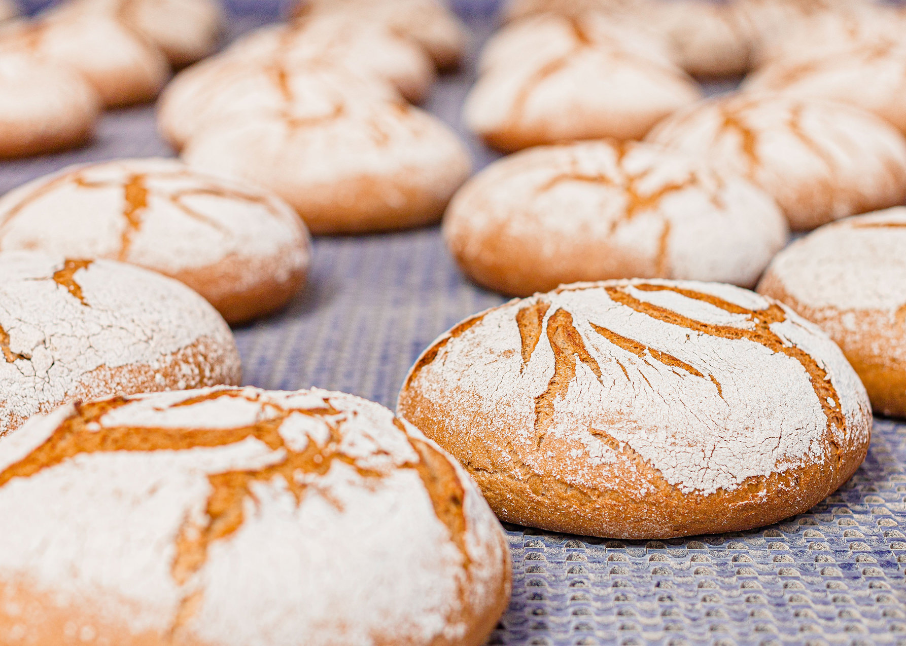 Frisch gebackenes Thüringer Landbrot